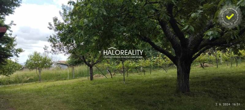Garden with fruit trees and lawn in Krupina, suitable for residential plots.