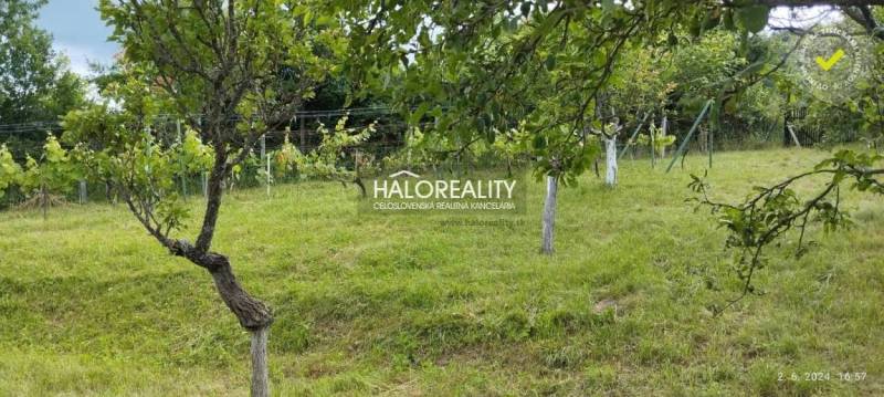 A garden with fruit trees, suitable for residential plots in Krupina.