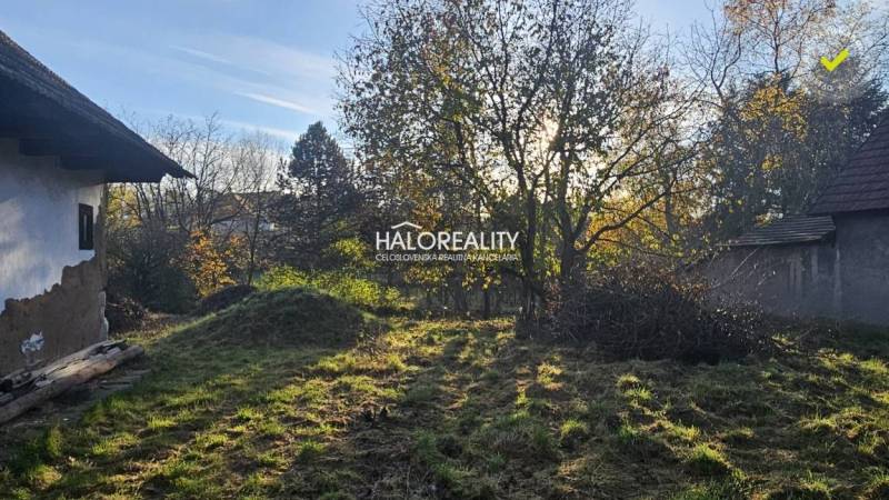 A garden with a grassy plot, older buildings, and trees, ideal for living or gardens.