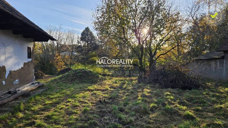A grassy plot next to an older house, surrounded by trees, suitable for living.
