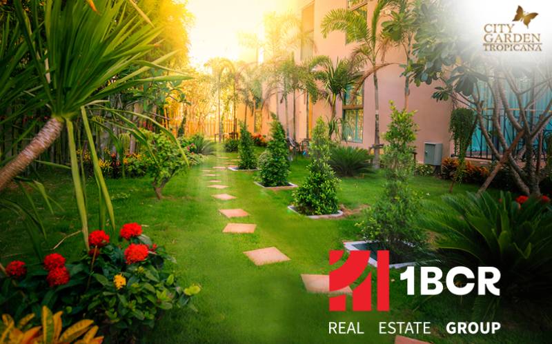 A view of the garden during the construction of apartments in Pattaya with ornamental plants.