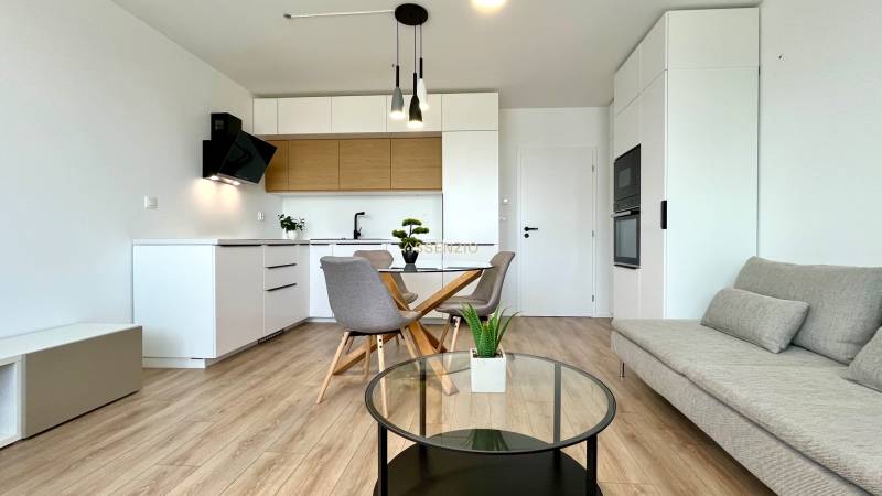 Living room in a two-room apartment with a kitchenette, sofa, and table.