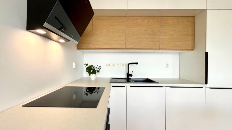A kitchen in a 2-room apartment with wooden cabinets, a stovetop, and a plant on the counter.