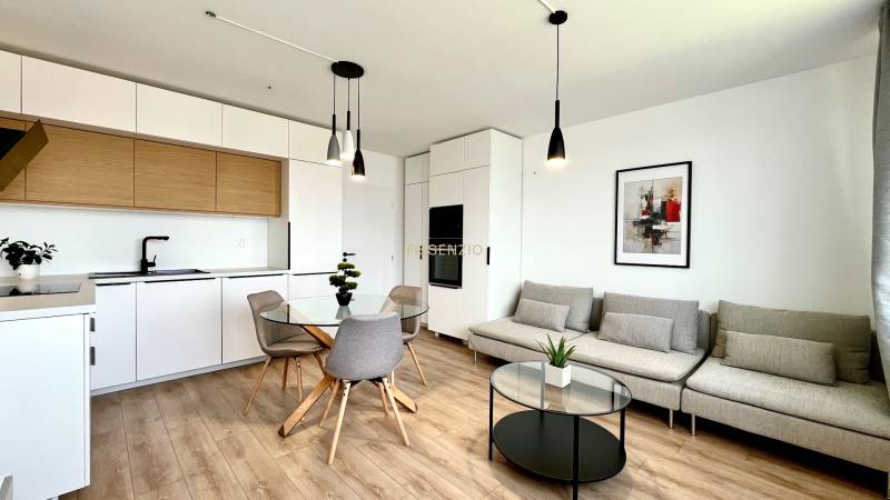 Design kitchen and living room in a two-room apartment with wooden details and decoration.
