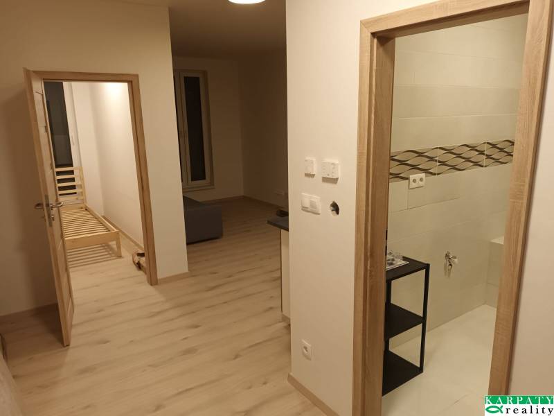 Interior of a 1-room apartment with a light floor, part of the living room and bathroom.