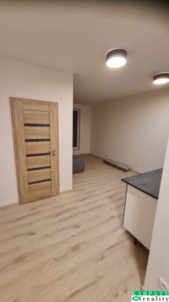 Wooden doors, light laminate flooring, and ceiling lights in a studio apartment.