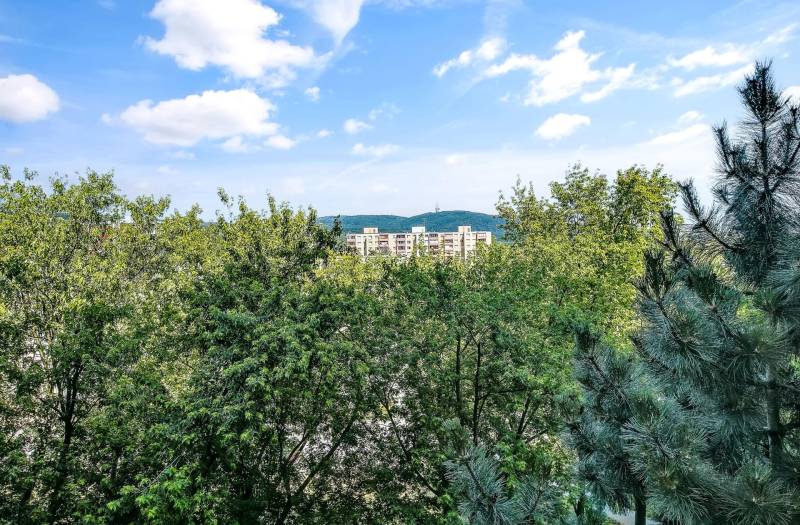 View of the apartment buildings behind the trees on Landauova Street in Bratislava.