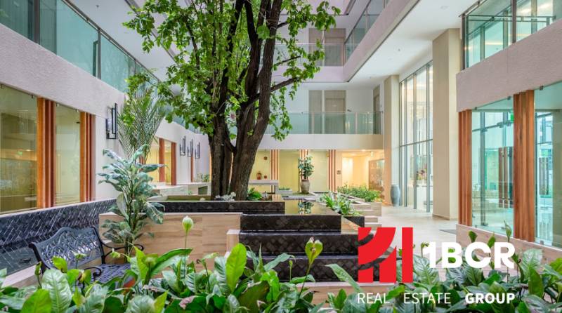 Bright interior with plants and an indoor courtyard, apartment construction.