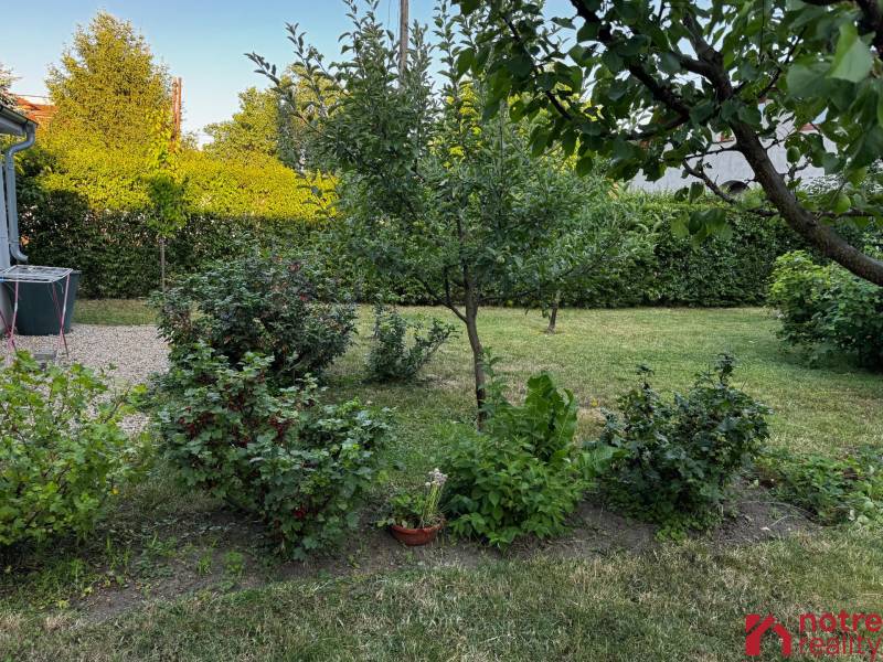 A garden at a family house in Lučenec with fruit bushes and trees.