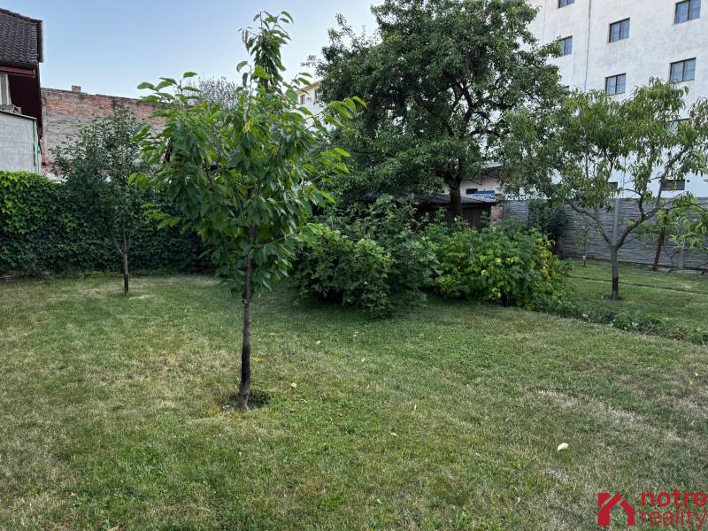 A garden with fruit trees at a family house in Lučenec.