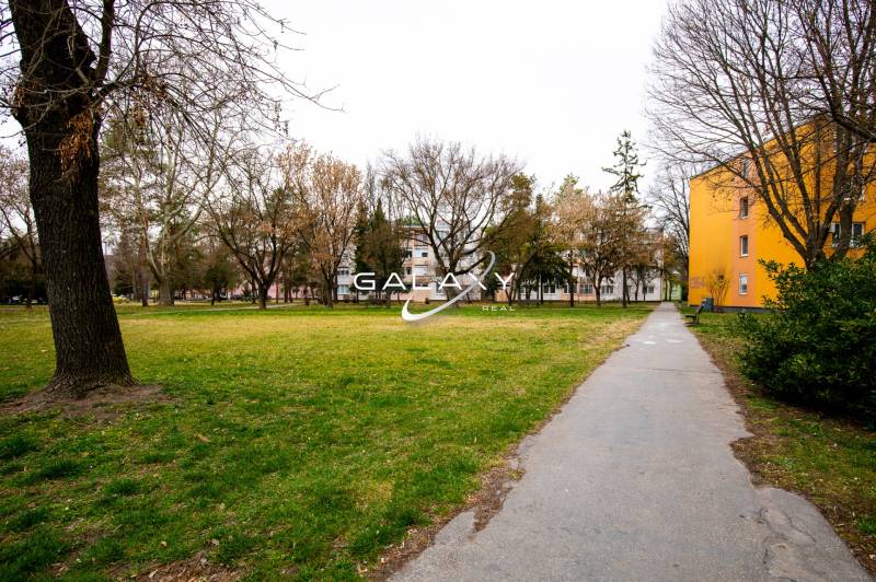 The sidewalk on Boriny Street leads past a 3-room apartment with a view of greenery.