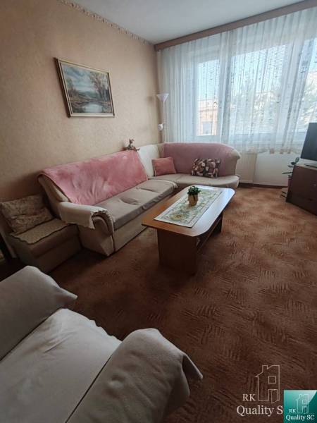 Living room in a 3-room apartment with a sofa, carpet, and wall decoration.
