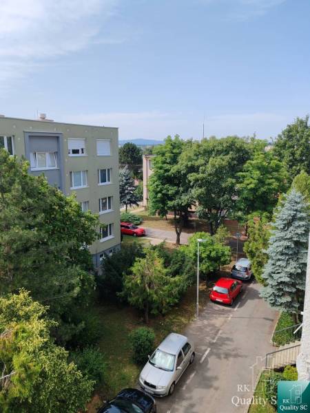 Gagarinova Street in Senec with greenery and parked cars near a 3-room apartment.