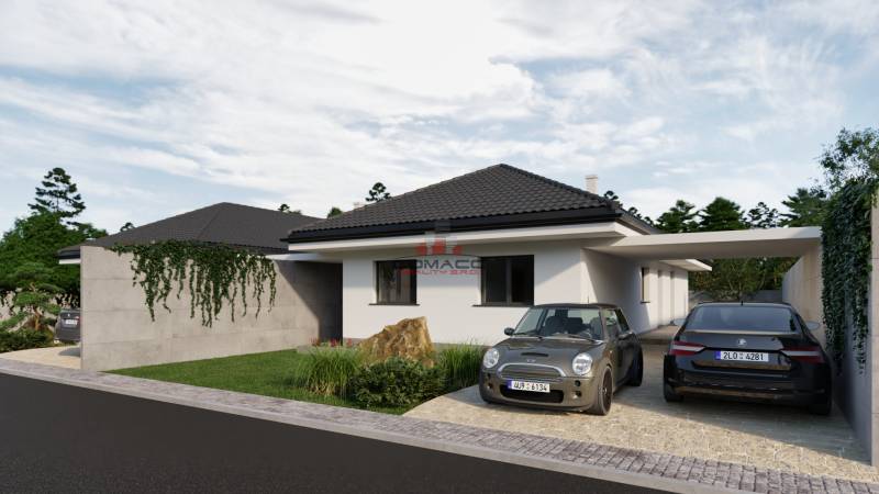 A family house with two cars on the street, roof covering, and green bushes.