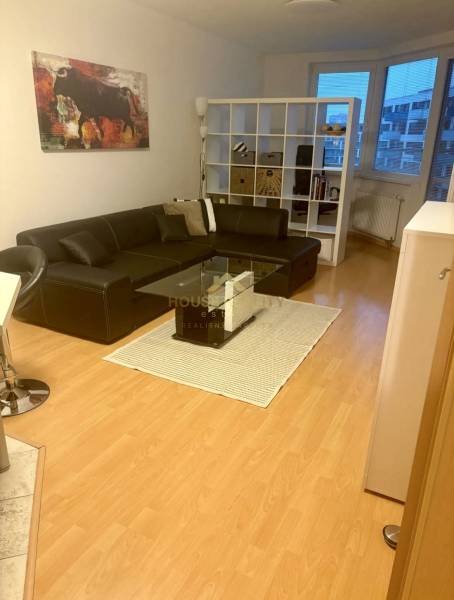 Living room with a brown sofa and wooden floor in a two-room apartment.