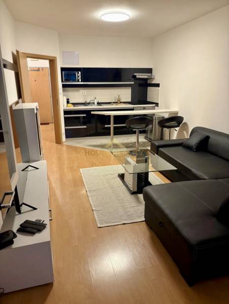 Living room with kitchen, leather sofa, bar counter, and television in a 2-room apartment.