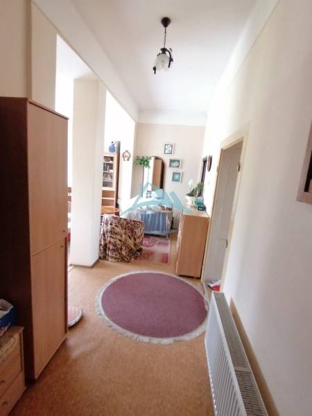 Hallway in a family house with furniture, carpets, and plants.