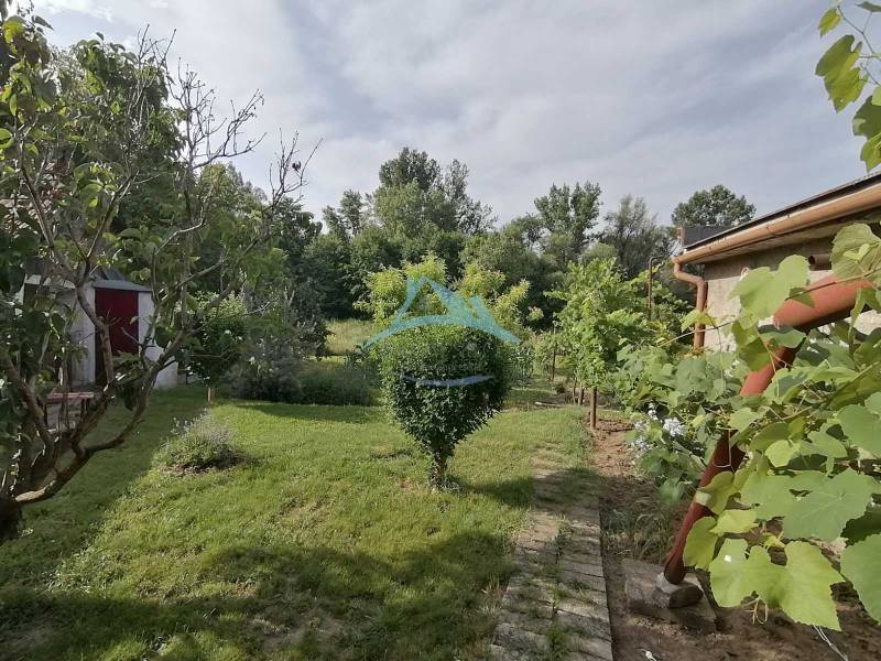 The garden of the family house in Hrkovce surrounded by greenery and trees.
