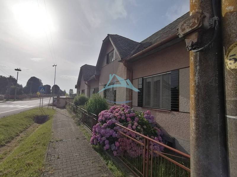A family house in Hrkovce with a stone path and blooming hydrangeas in the garden.