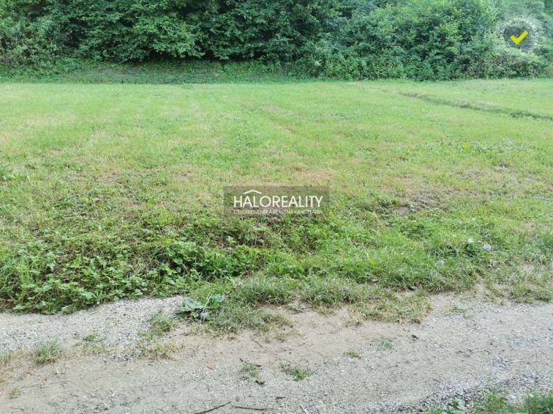 Lands - housing in Modrová include a grassy area near the forest with a road.