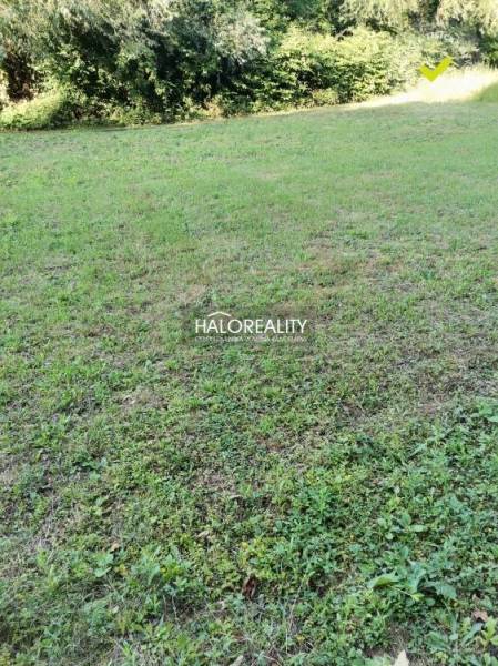 A plot for residential use in Modrová, suitable for construction in a natural environment.