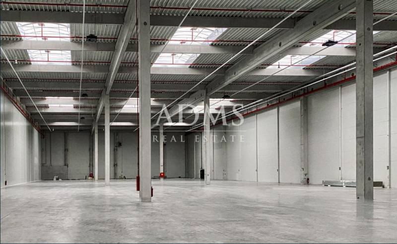 Spacious interior with columns and skylights, Warehouses and halls.