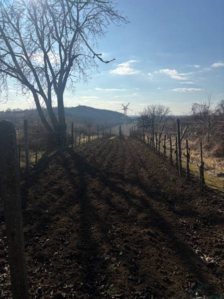A rural view of recreational plots with a road, trees, and a hill in the background.