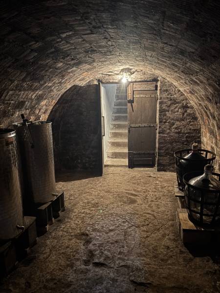 An ancient cellar with stairs, barrels, and a demijohn. Ideal for storing wine, recreational plots.
