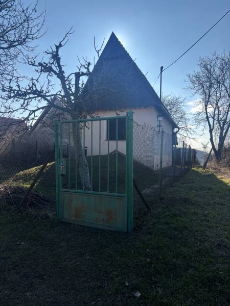 Small cottage surrounded by trees, fenced garden, ideal for recreational plots.