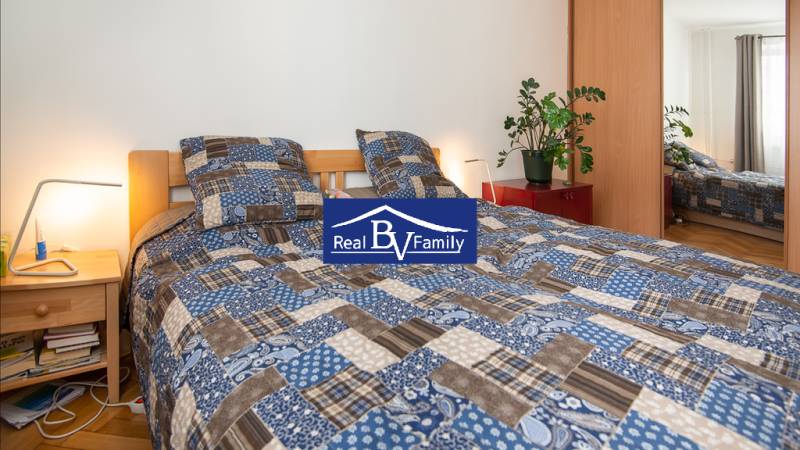 A bedroom in a studio apartment with blue and white bedding, plants, and a nightstand.
