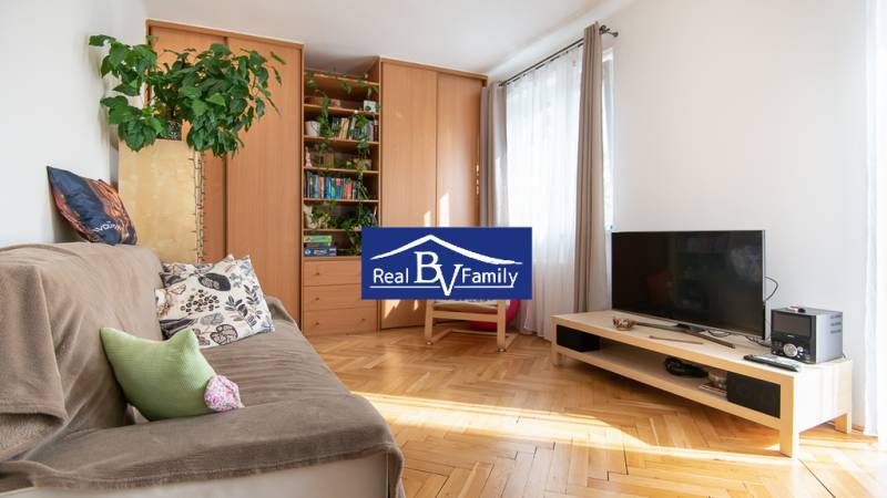 Living room in a studio apartment with a sofa, television, and a large wardrobe, light wooden parquet flooring.
