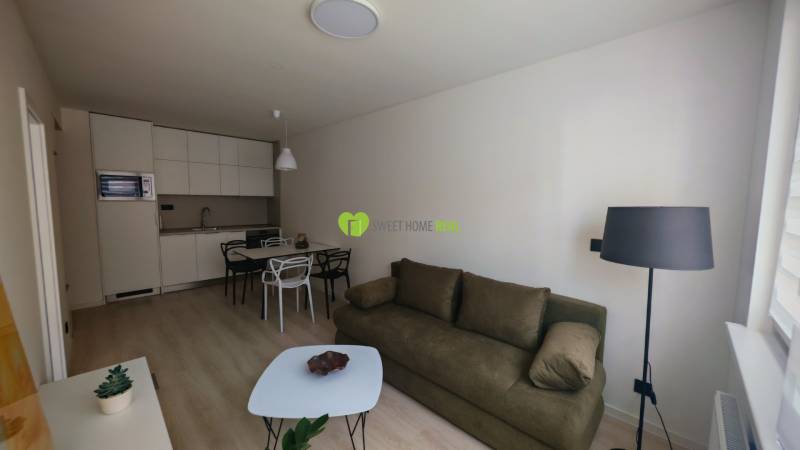 Living room in a studio apartment with a kitchenette, table, sofa, and floor lamp.
