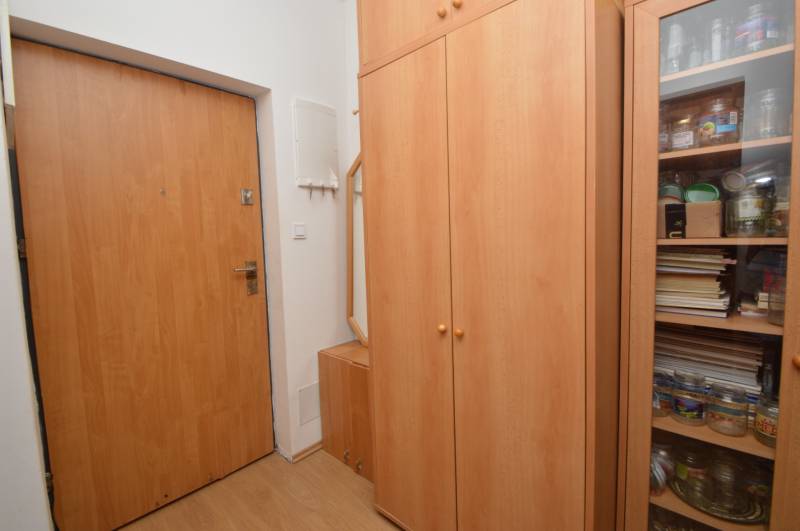 A hallway in a 2-room apartment with closets and entrance doors.