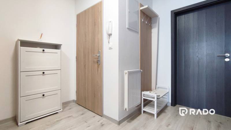 Entrance area with wooden door and shoe cabinet in a 2-room apartment.
