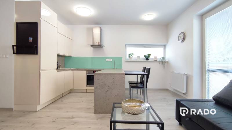 Kitchen and living area in a 2-room apartment with minimalist furniture and decorations.