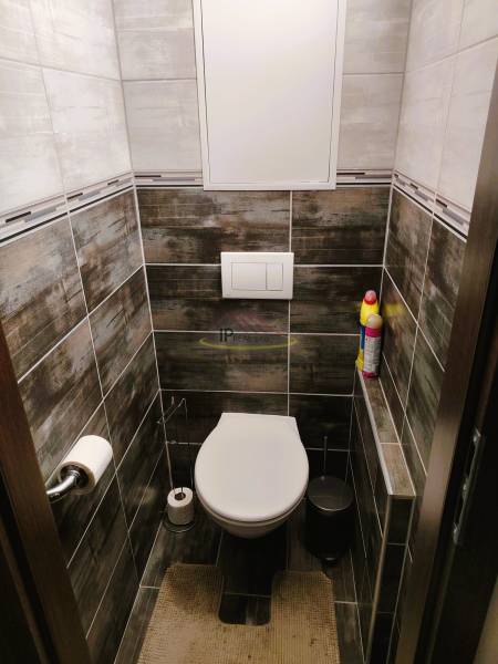 Bathroom spaces with wall-hung toilet, tiling in a 2-room apartment with dark tiles.