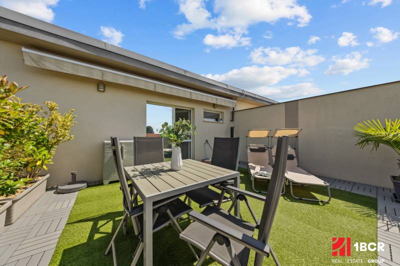 Terrace of a 4-room apartment with a table and chairs, surrounded by plants and loungers.