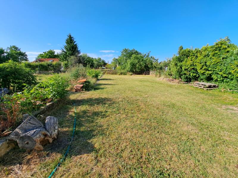 A garden by a family house in Kmeťovo, surrounded by greenery and a blue sky.