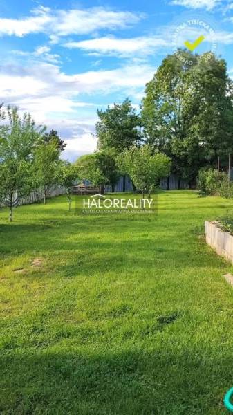 A garden at a family house in Kalinovo with a lawn and fruit trees.