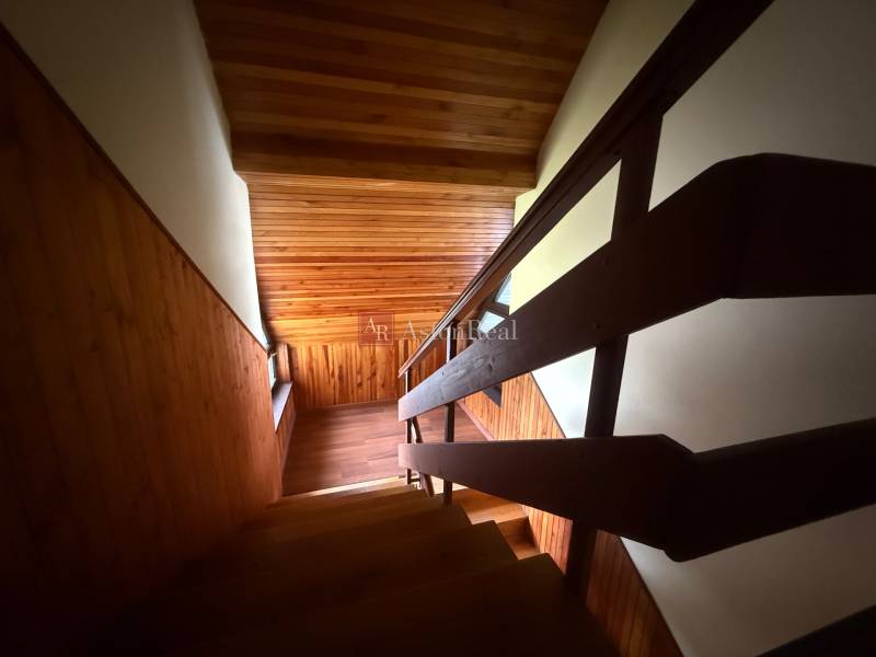 A staircase with wooden paneling in the interior of a family house.