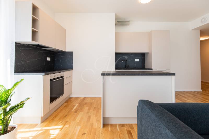 A kitchen with a black countertop and light cabinets in a 3-room apartment.