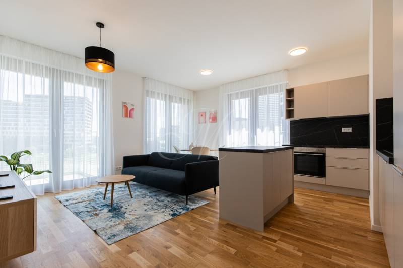 Living room with kitchen in a 3-room apartment, light fixture, sofa, table, and cabinets.