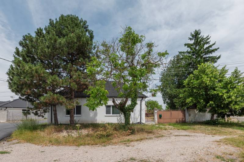 The family house on Stará Gala Street in Holice is surrounded by trees and a green plot.