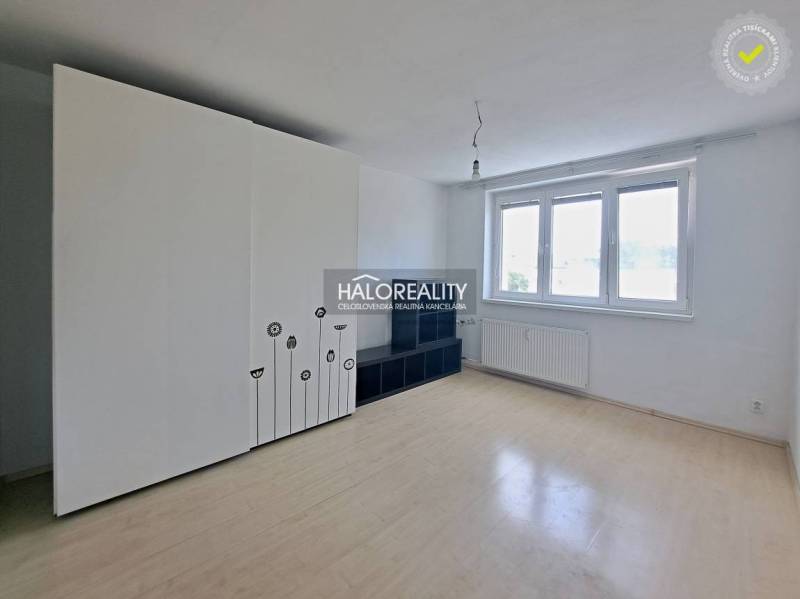 A bright studio apartment with a large wardrobe and a window that lets in natural light.