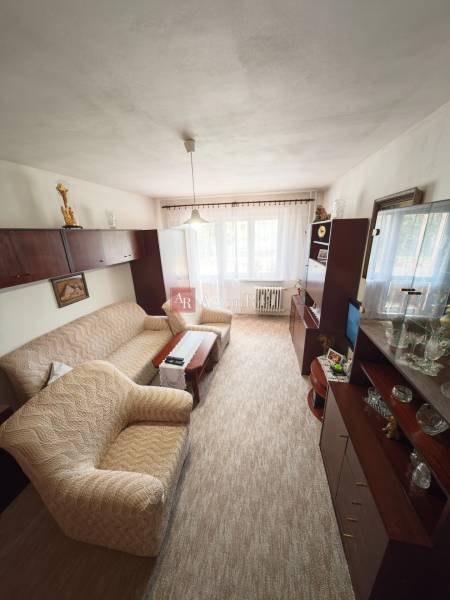 Living room in a two-room apartment with a sofa, armchair, and furniture.