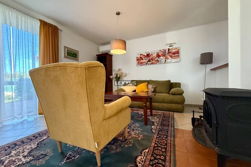 Living room in a family house with an armchair, sofa, fireplace, and a painting on the wall.