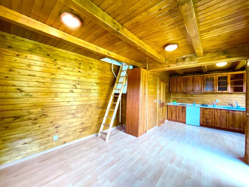 Interior of a family house with wooden paneling, a kitchen unit, and a ladder to the upper floor.