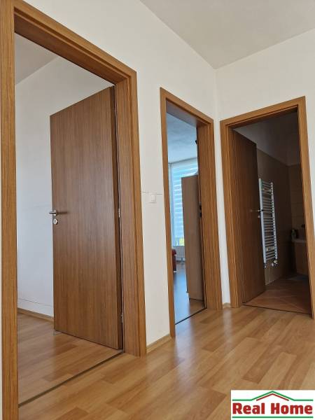 Interior of a family house with wooden doors and flooring.