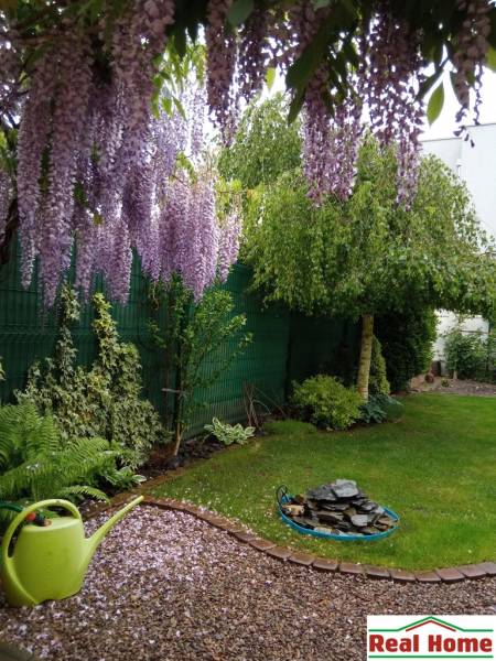 Flower garden at a family house on Brusnicová Street in Chorvátsky Grob.