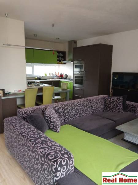 Living room with a kitchen in a family house, colorful couch and green kitchen cabinets.